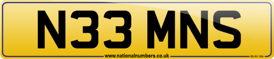 N33 MNS