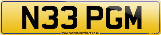 N33 PGM