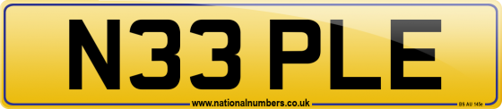 N33 PLE