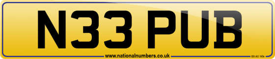 N33 PUB