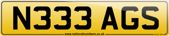 N333 AGS