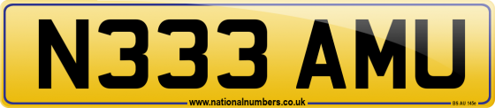 N333 AMU
