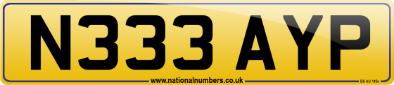 N333 AYP