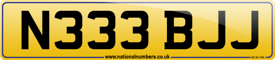 N333 BJJ