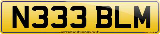 N333 BLM