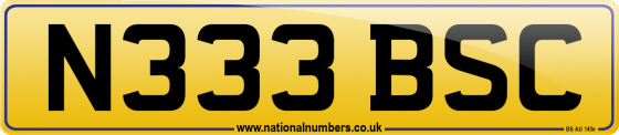 N333 BSC