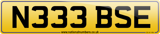 N333 BSE