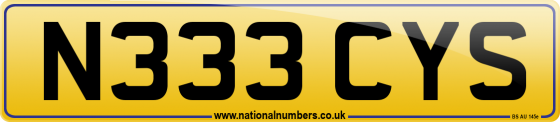 N333 CYS