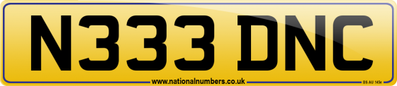 N333 DNC
