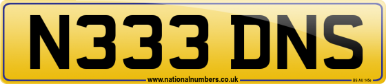 N333 DNS