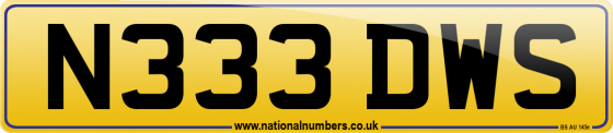 N333 DWS