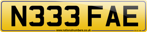 N333 FAE