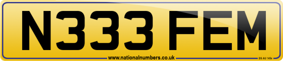 N333 FEM