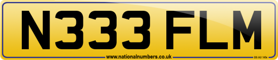 N333 FLM