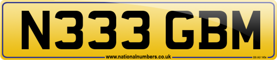 N333 GBM