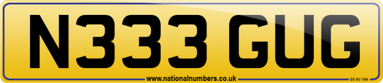 N333 GUG