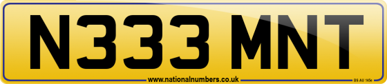 N333 MNT