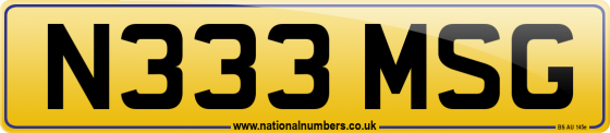 N333 MSG