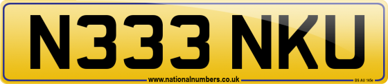 N333 NKU