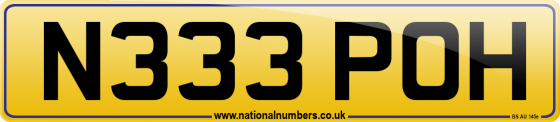 N333 POH