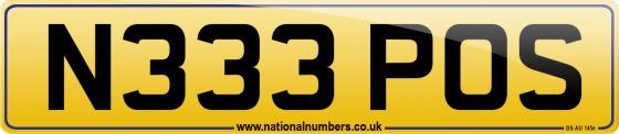 N333 POS