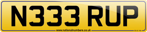 N333 RUP