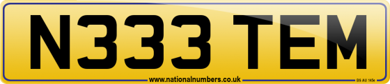 N333 TEM