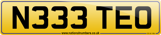 N333 TEO