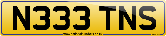 N333 TNS