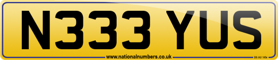 N333 YUS