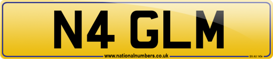 N4 GLM