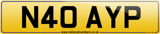 N40 AYP