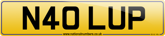 N40 LUP