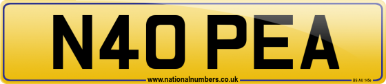 N40 PEA