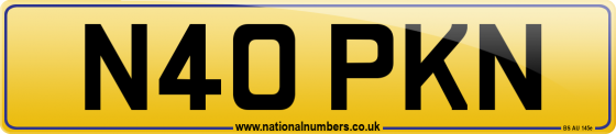 N40 PKN