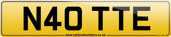 N40 TTE