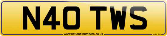 N40 TWS