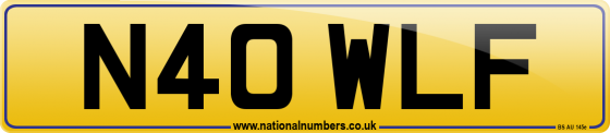N40 WLF