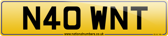 N40 WNT
