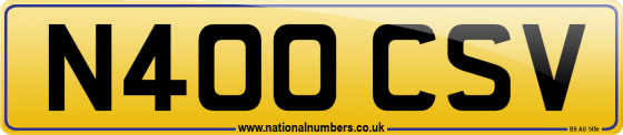 N400 CSV