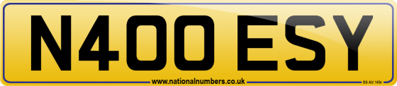 N400 ESY