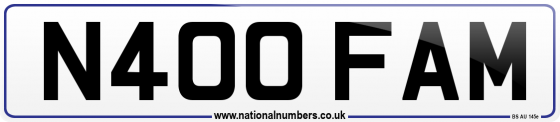 N400 FAM