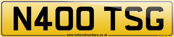 N400 TSG