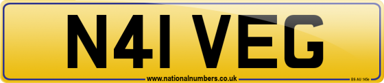 N41 VEG