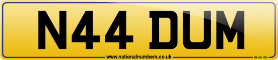 N44 DUM
