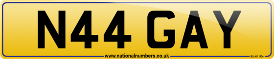 N44 GAY