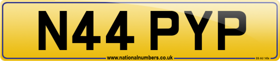 N44 PYP