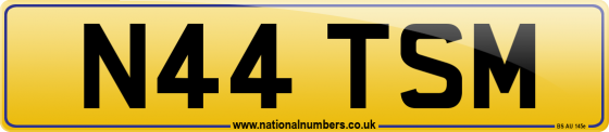 N44 TSM