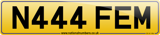 N444 FEM