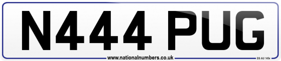 N444 PUG